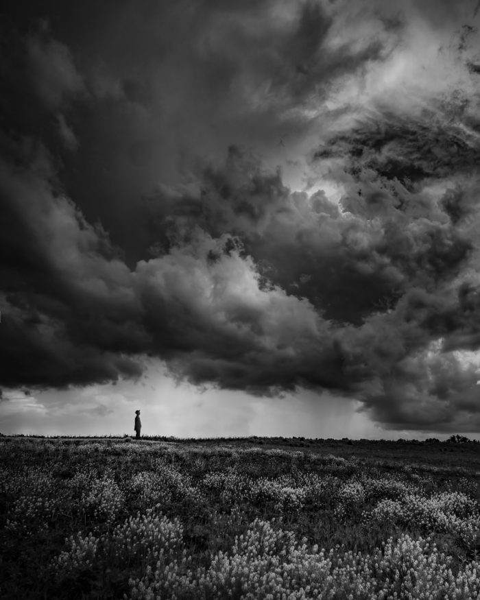 todd-trapani-6vXQrXVFXjI-unsplash
